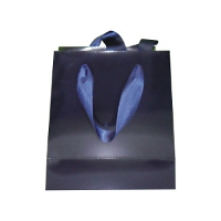 TRAPEZIUM BAG 2 small.JPG